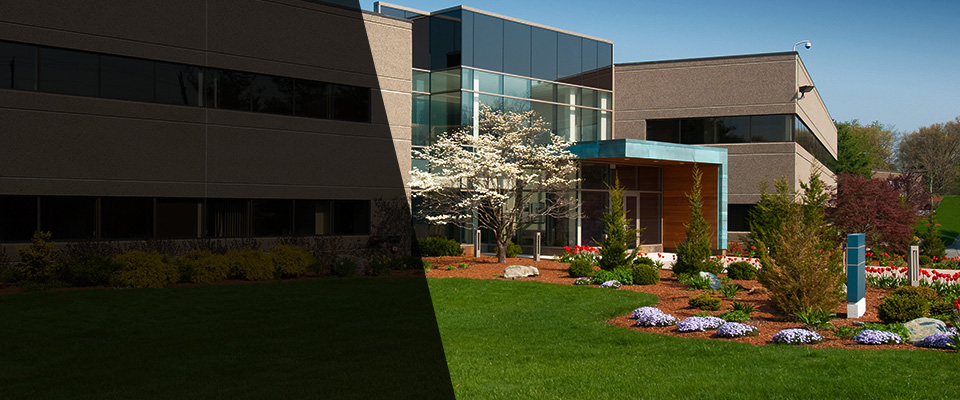 Cape Canaveral Landscapers