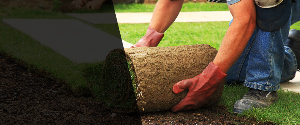 Cape Canaveral Landscapers